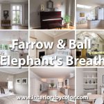 Farrow & Ball Elephant's Breath