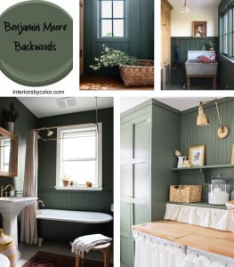 Benjamin Moore Backwoods Paint Color - Interiors By Color