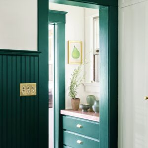 Benjamin Moore Forest Green