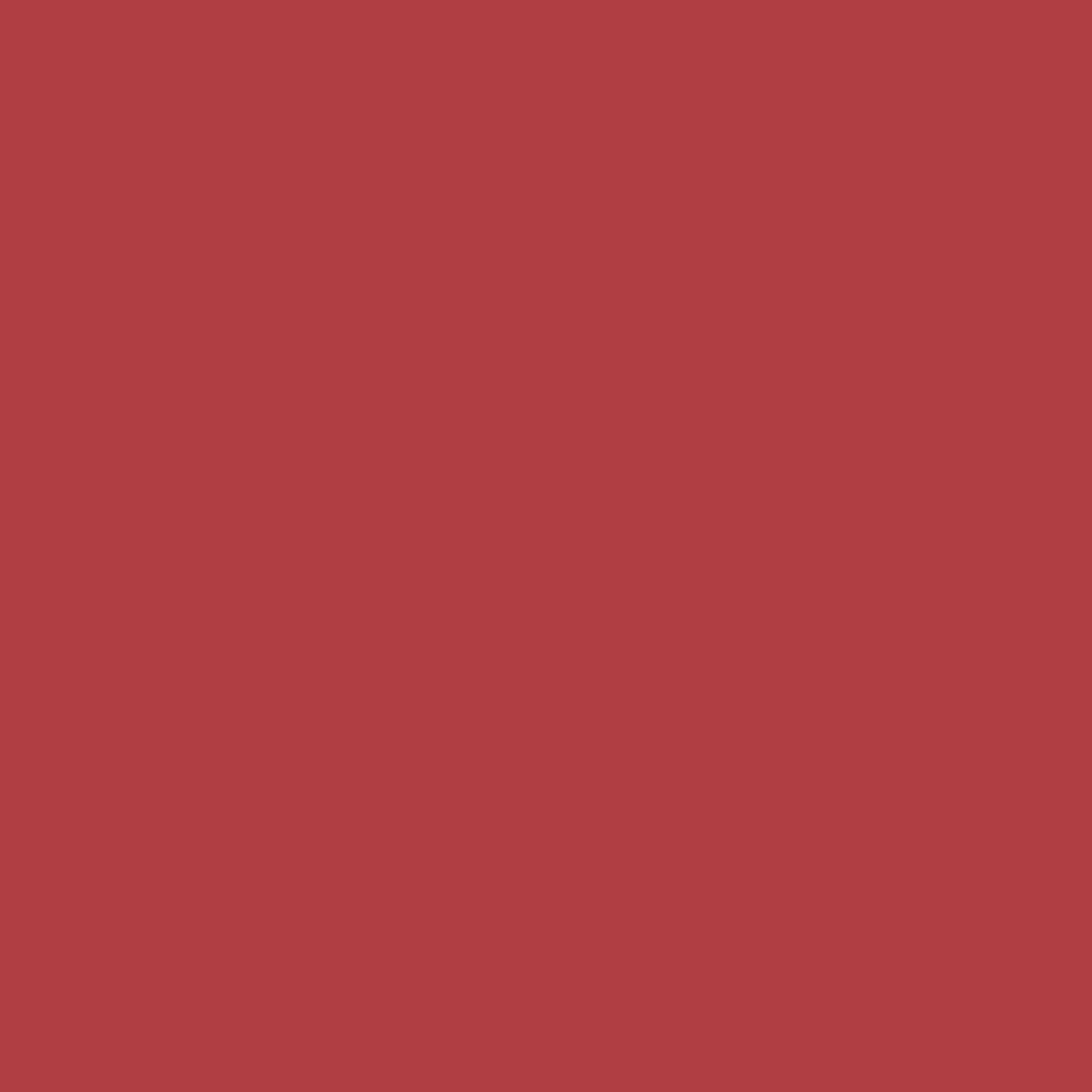 Benjamin Moore Ladybug Red